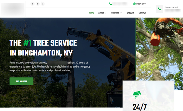 leads from local seo campaign and website